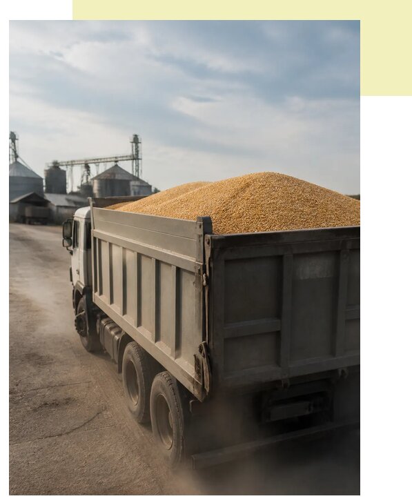 Перевозка сельхозпродукции навалом в Чебаркуль по цене от 3221 р. | Агросервис-Чбр